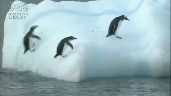 penguins_up_and_down